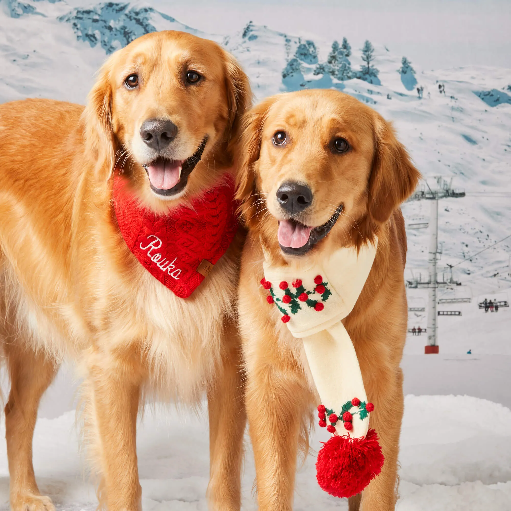 Cable Knit Dog Bandana