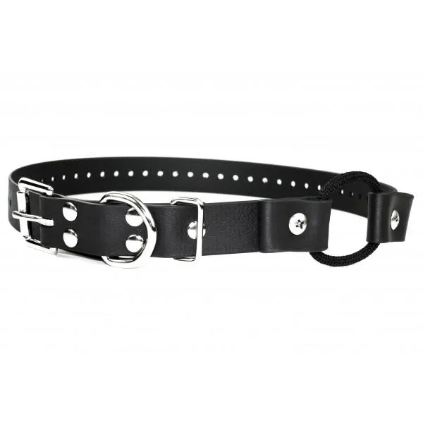 Educator K9-402 2 DOG K9 HANDLER ON 33″ BUNGEE COLLARS