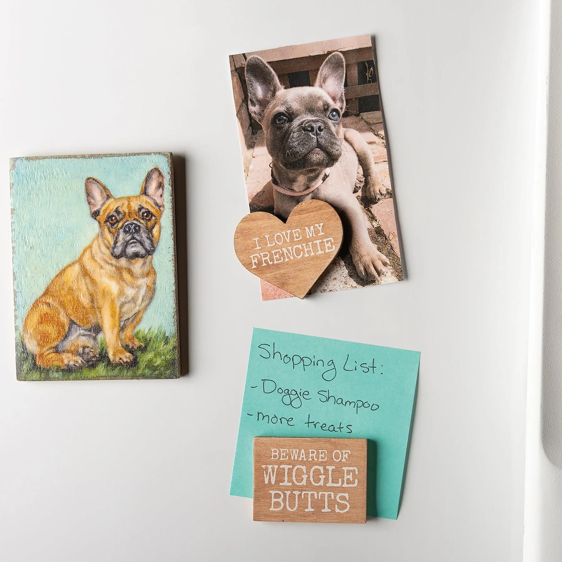 Frenchie Magnet Set