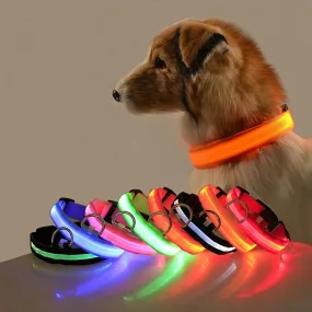 Glow-In-The-Dark Collar LED USB Charging