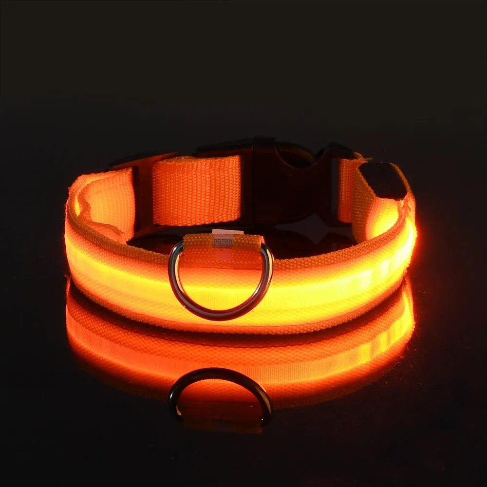 Glow-In-The-Dark Collar LED USB Charging