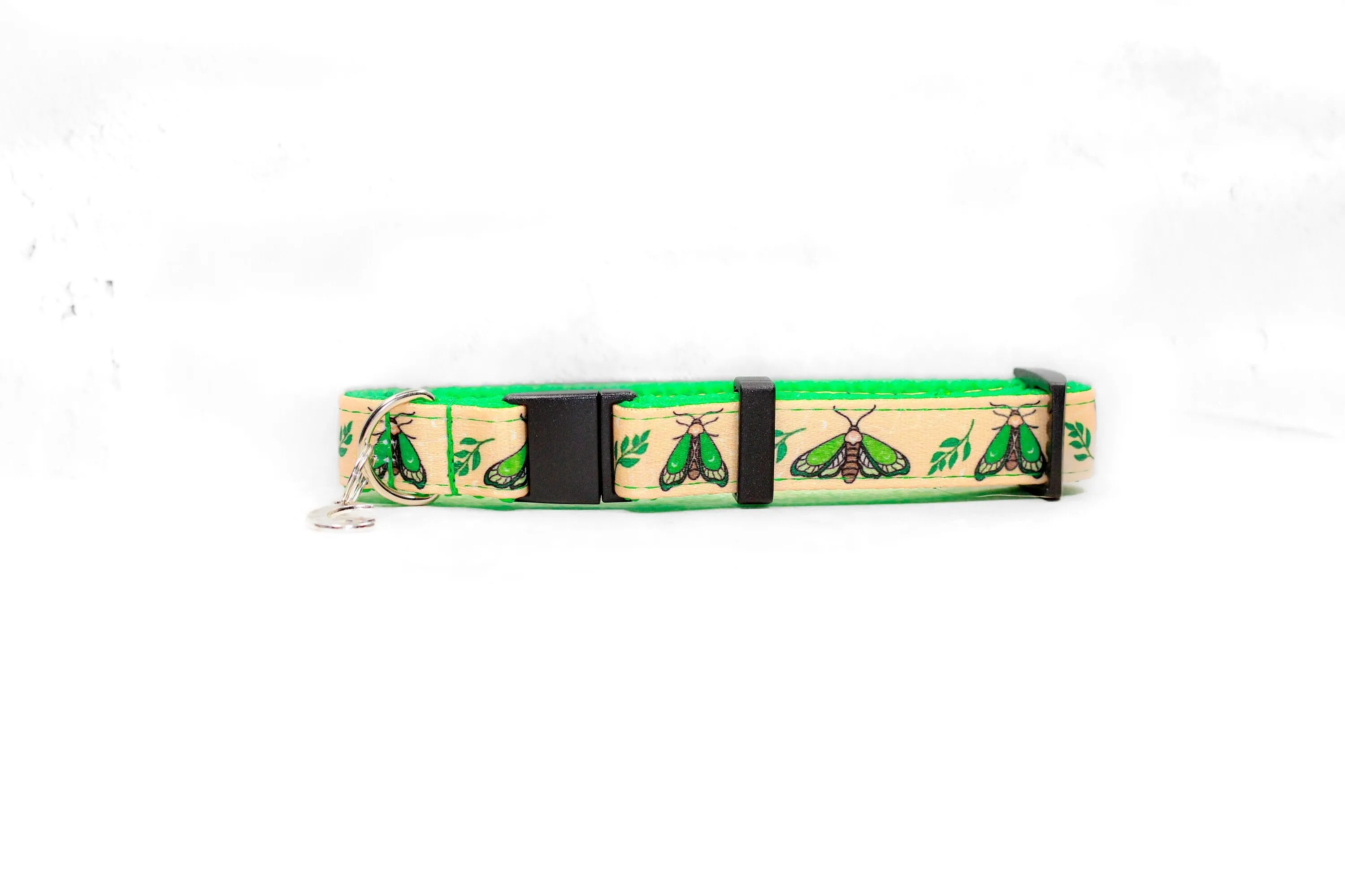 Lunar moth , Green dog collar, Moth and moon collar, Breakaway cat collar, Lime green cat collar, Lunar moth dog collar