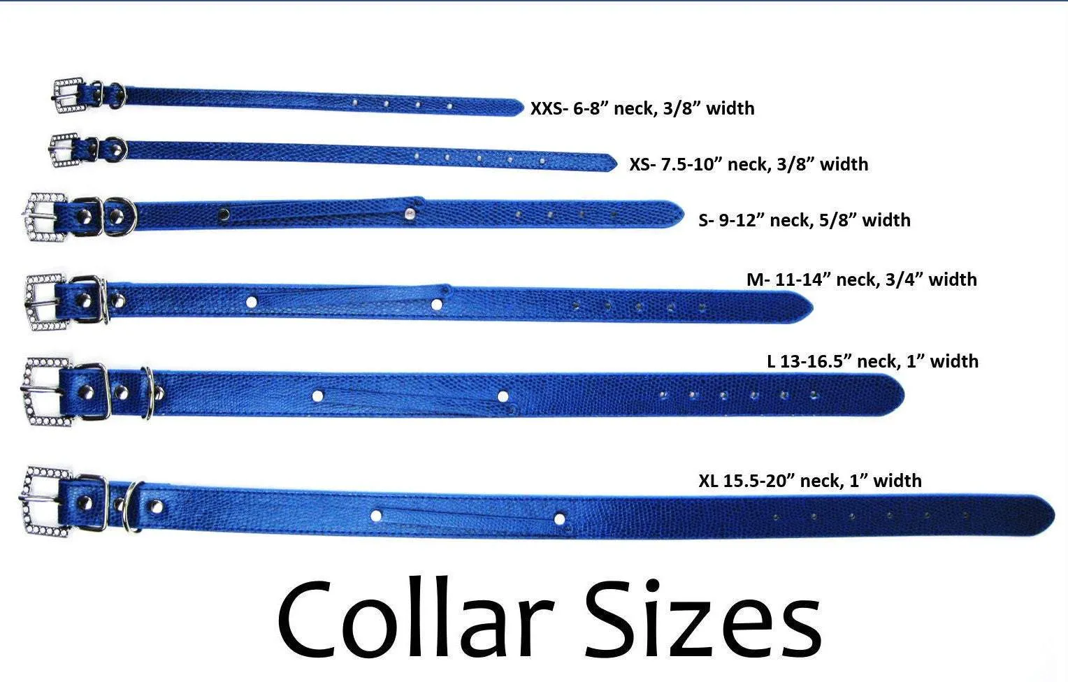 Royal Blue Collar (L and XL only)